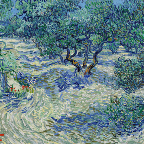 Vincent van Gogh, Olive Trees, 1889